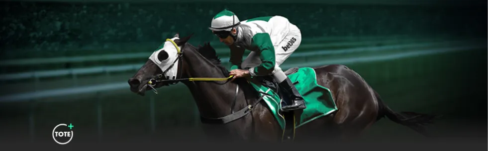 阿莫林亮相,曼联执教首,力争红魔主,星空体育官网,星空体育下载,星空体育直播,星空体育平台,星空体育互动