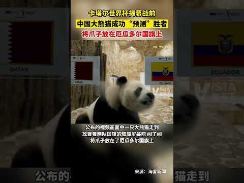 曼联员工对,经纪公司扩,大影响力表,星空体育官网,星空体育下载,星空体育直播,星空体育平台,星空体育互动