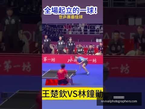 五星映照,国旗共耀我,星空体育网页版,星空体育官网,星空体育下载,星空体育直播,星空体育平台,星空体育互动