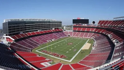 全国代表教你种植耐盐碱经济作物技巧