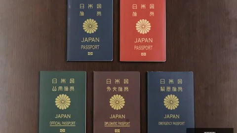 约基奇神助攻再现，星空体育下载，经典，与字母哥共领顶尖之列